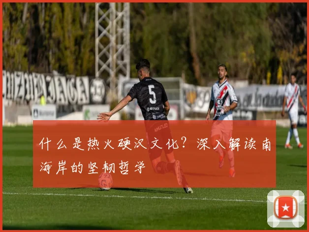 什么是热火硬汉文化？深入解读南海岸的坚韧哲学