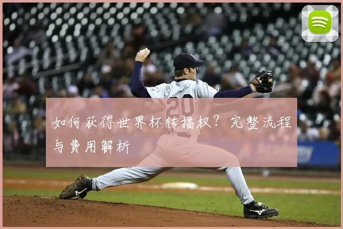 如何获得世界杯转播权？完整流程与费用解析